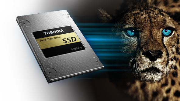 Toshiba vừa ra mắt ổ cứng di động tại Việt Nam